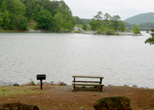 a picnic table and grille along the shore of Lake Allatoona